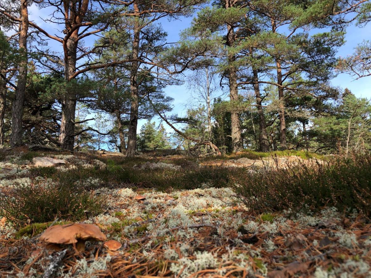 Mysig Och Modern Stuga Pa Snoegard, Naera Havet Och Naturen Lur  Ngoại thất bức ảnh