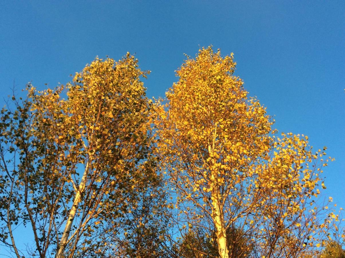 Mysig Och Modern Stuga Pa Snoegard, Naera Havet Och Naturen Lur  Ngoại thất bức ảnh