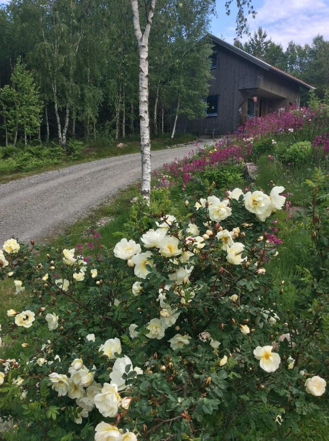 Mysig Och Modern Stuga Pa Snoegard, Naera Havet Och Naturen Lur  Ngoại thất bức ảnh